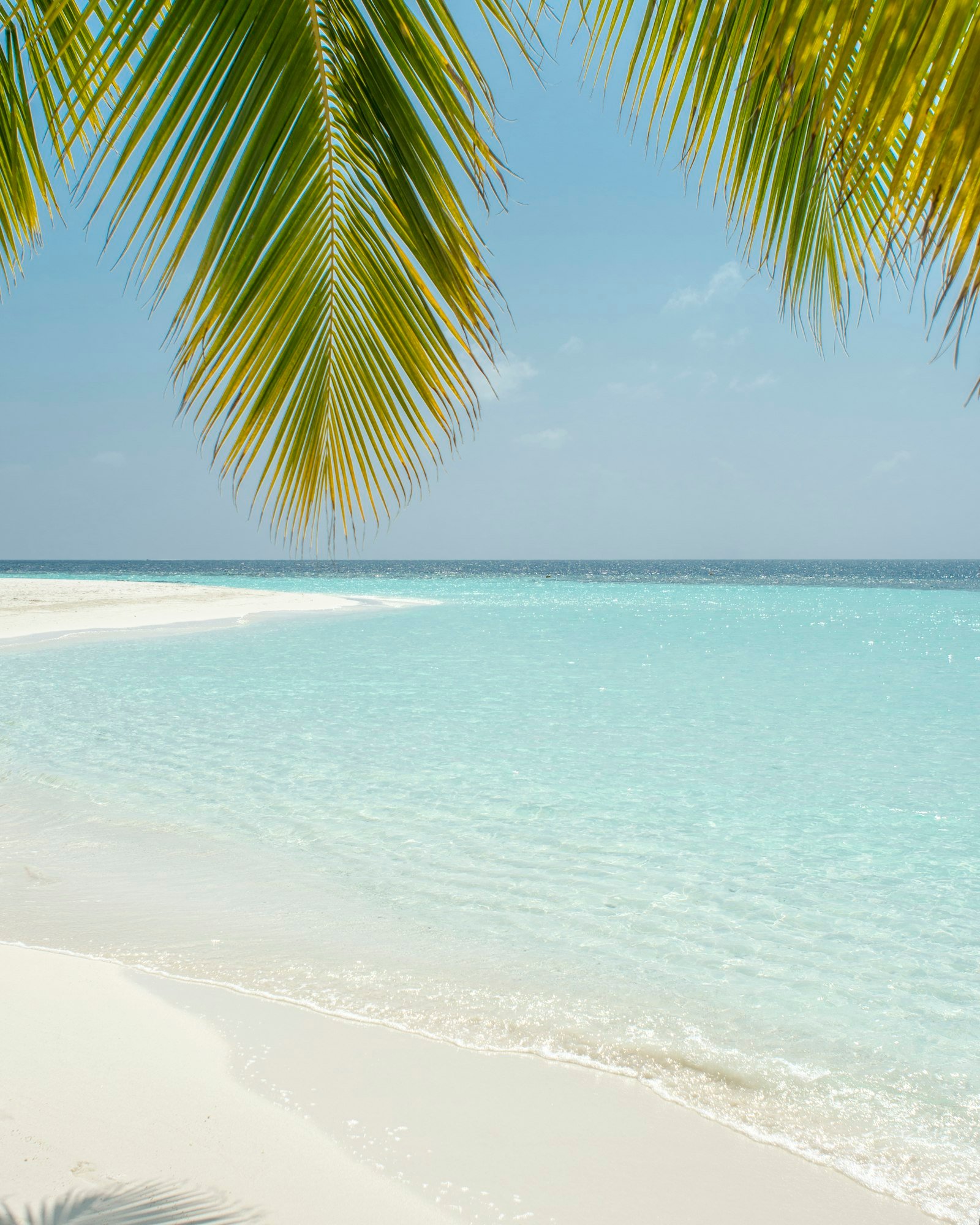 Sustainable Swimwear: What “Eco-Friendly” Really Means and What to Look For